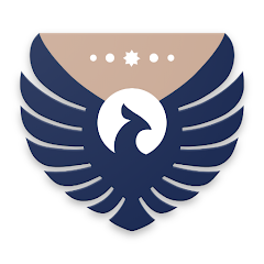 Belgi rasmi